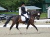 dressage horse Malibu Beach 2 (German Riding Pony, 2010, from St. Annens Monsieur N)