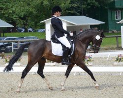 dressage horse Malibu Beach 2 (German Riding Pony, 2010, from St. Annens Monsieur N)