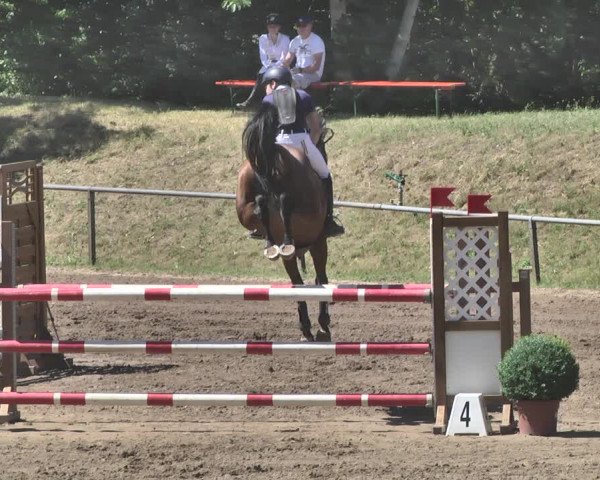 Reitturnier Wiesloch 2019