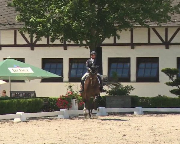 Reitturnier Kronberg /Schafhof 2019