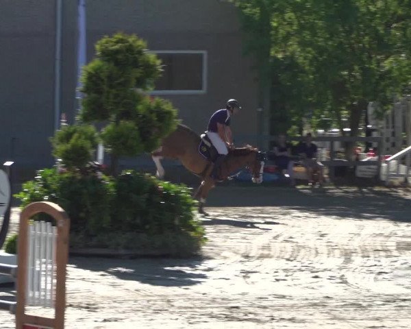 Reitturnier Kalenborn Hegehof 2019
