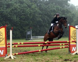 jumper Phelbs K (Rhinelander, 2007)