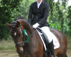 dressage horse Dimanche 25 (Hanoverian, 2007, from Desperados FRH)