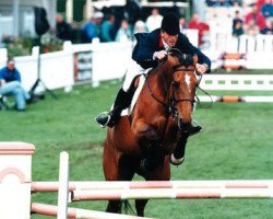 broodmare Uélème (Selle Français, 1986, from Nelfo du Mesnil)