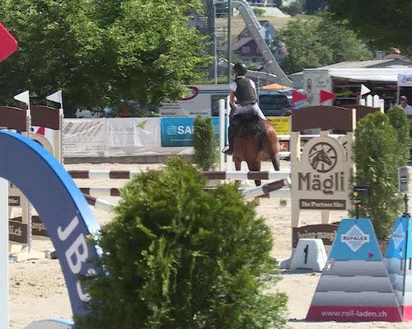 Reitturnier Balsthal 2019