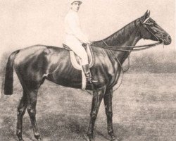 broodmare Budagyongye xx (Thoroughbred, 1882, from Buccaneer xx)