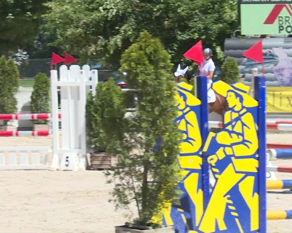 Reitturnier Balsthal 2019