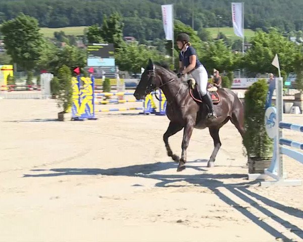 Reitturnier Balsthal 2019