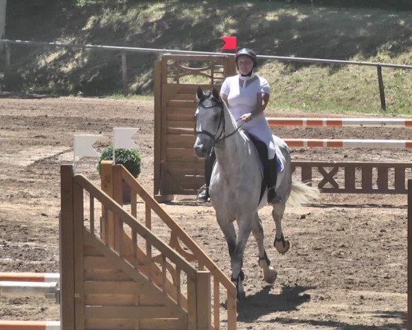 Reitturnier Wiesloch 2019