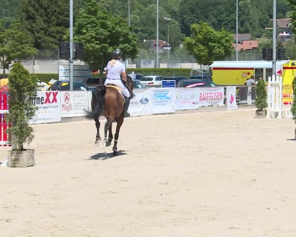 Reitturnier Balsthal 2019