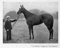 Zuchtstute La Roche xx (Englisches Vollblut, 1897, von Saint Simon xx)