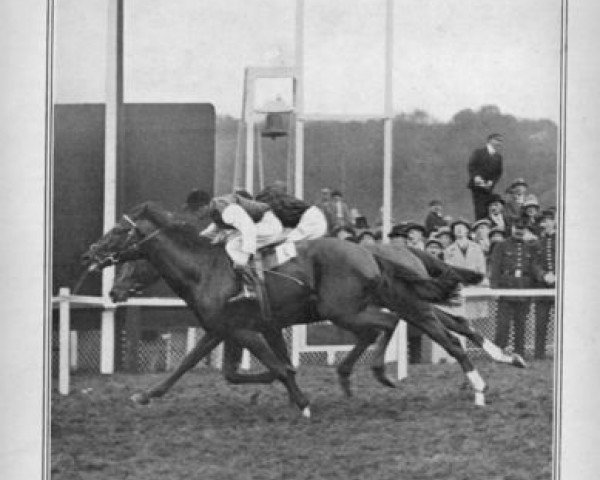 stallion Ivanoe xx (Thoroughbred, 1925, from Cannobie xx)