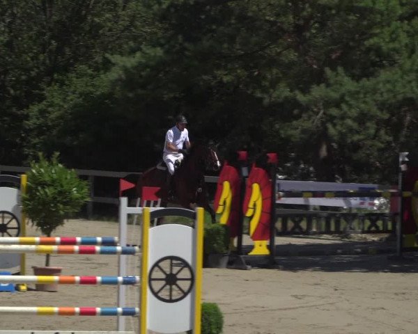 Reitturnier Kalenborn Hegehof 2019