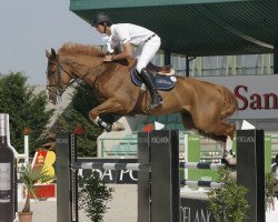 Springpferd Grunwald de Kalvarie (Belgisches Warmblut, 2006, von Action-Breaker)