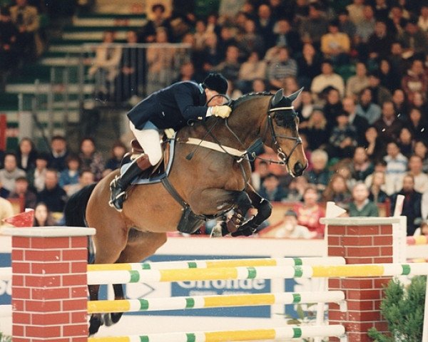 Pferd Kunwald de Kalvarie (Belgisches Warmblut, 1987, von Darco)