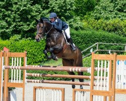 Zuchtstute Ines de Kalvarie (Belgisches Warmblut, 2008, von Wandor van de Mispelaere D'10)