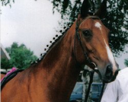 broodmare Felicitas (Westphalian, 1985, from Fabelhaft)