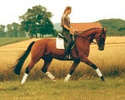 broodmare Flashdance (Westphalian, 1997, from Florestan I)