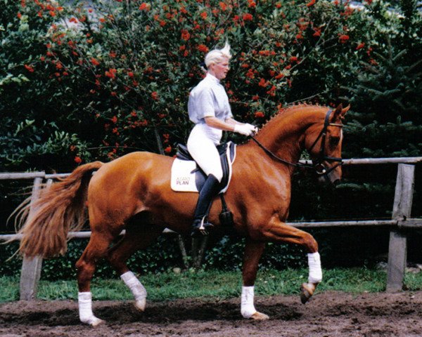 horse Display (Westphalian, 1995, from Delphi)