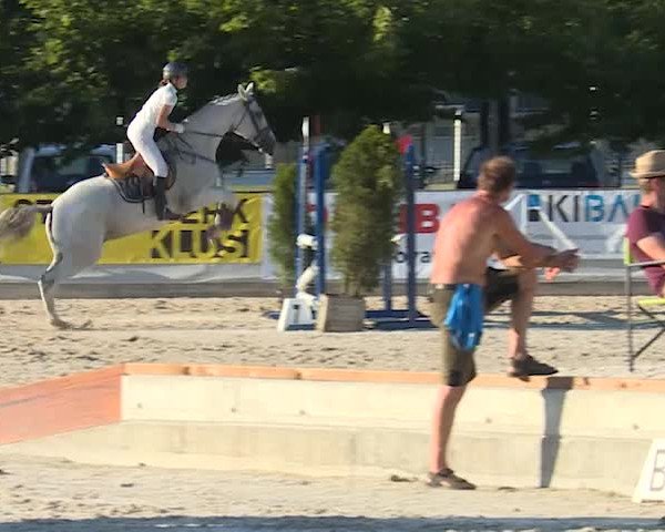 Reitturnier Balsthal 2019