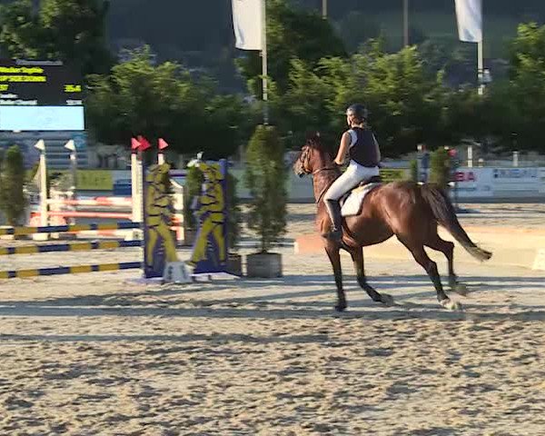 Reitturnier Balsthal 2019