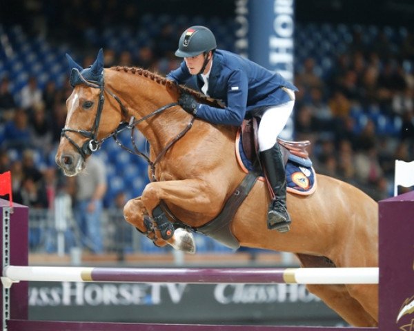 Springpferd Fleur de Kalvarie (Belgisches Warmblut, 2005, von Nabab de Rêve)