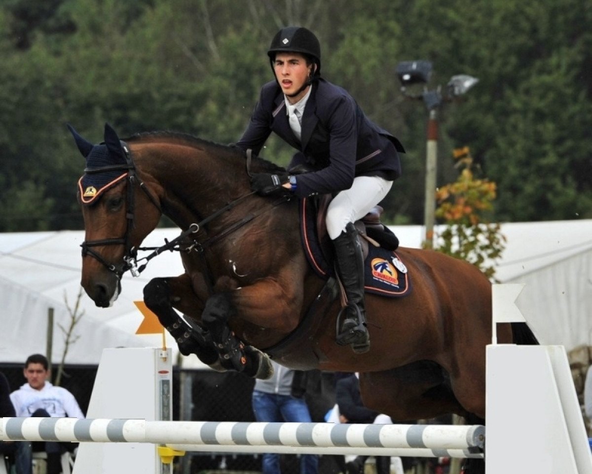 Zuchtstute Carla de Kalvarie Z (Zangersheide Reitpferd, 2005, von Crown Z)