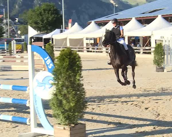 Reitturnier Balsthal 2019