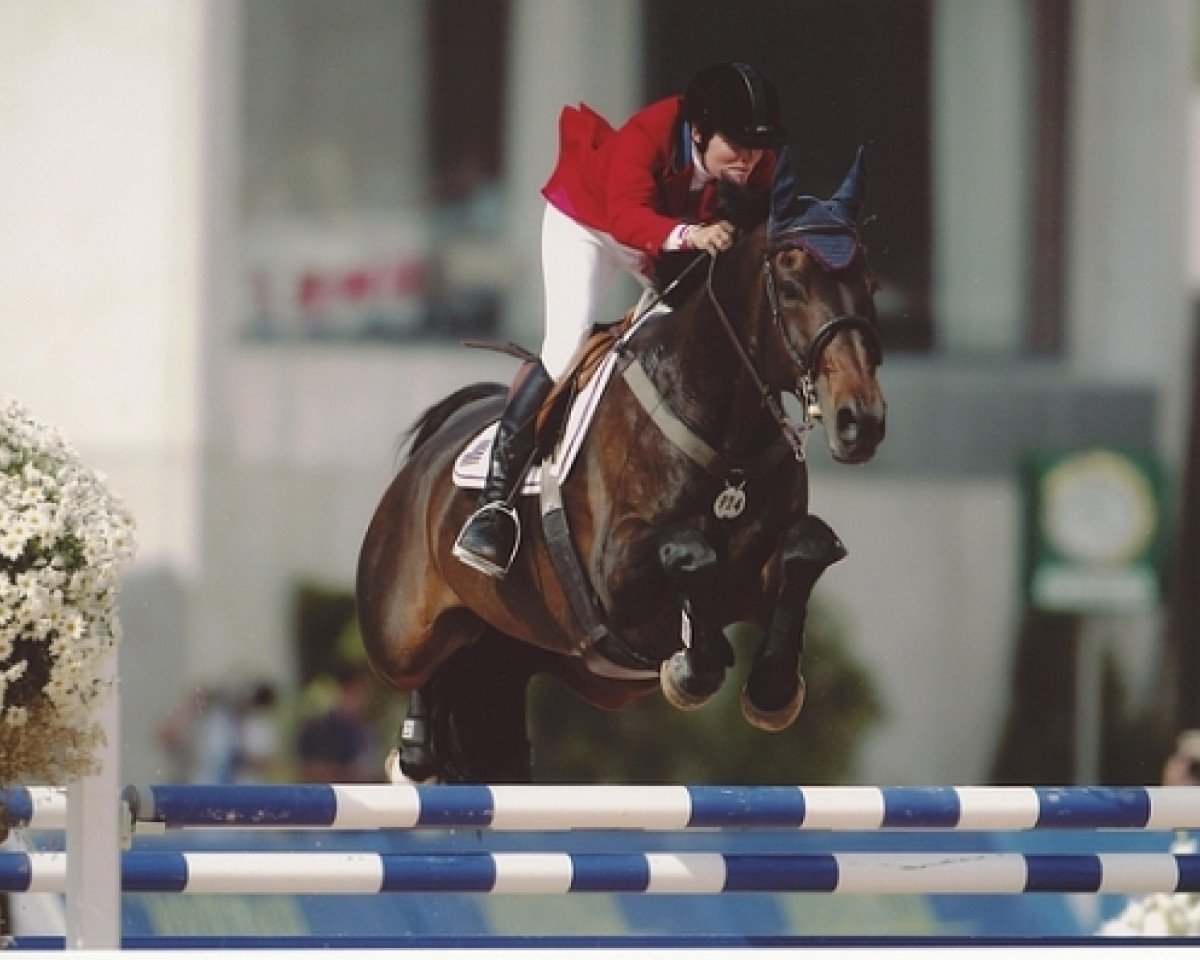 horse Priobert de Kalvarie (Belgian Warmblood, 1992, from Kimball)