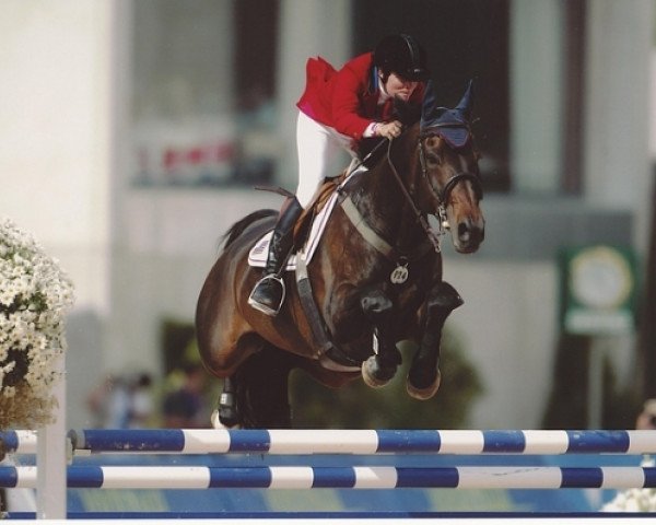 horse Priobert de Kalvarie (Belgian Warmblood, 1992, from Kimball)