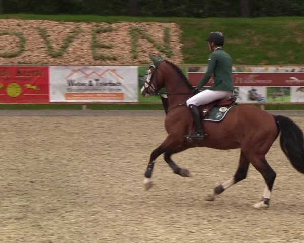 Reitturnier Höven 2019