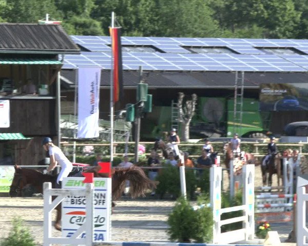 Reitturnier Schwerte-Gut Kückshausen 2019
