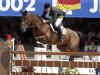 Zuchtstute Liscalgot (Irish Sport Horse, 1991, von Touchdown)