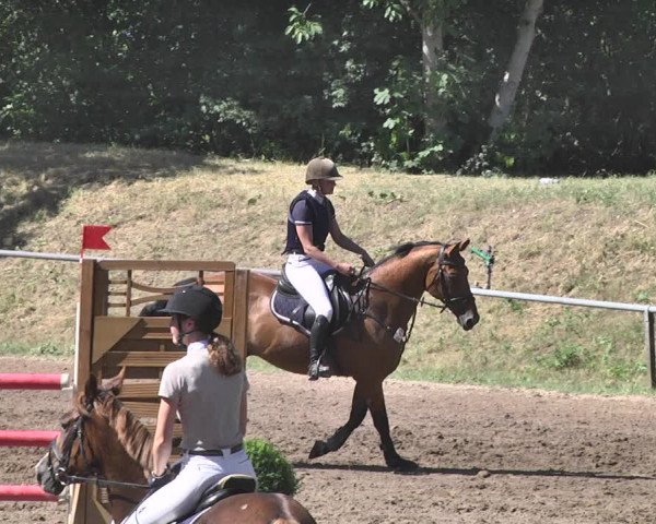 Reitturnier Wiesloch 2019