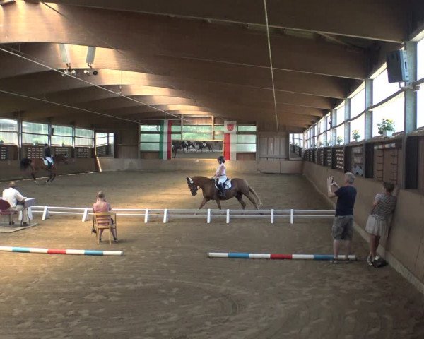 Reitturnier Schwerte-Gut Kückshausen 2019