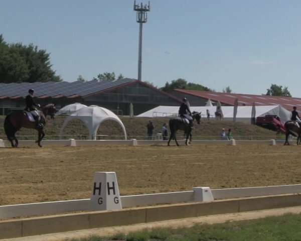 Reitturnier Vorsfelde 2019