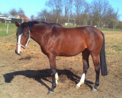 broodmare Mona (Mecklenburg, 2004, from Monazit)