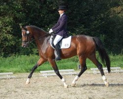 broodmare Elegance 38 (Trakehner, 2004, from Samarkand)