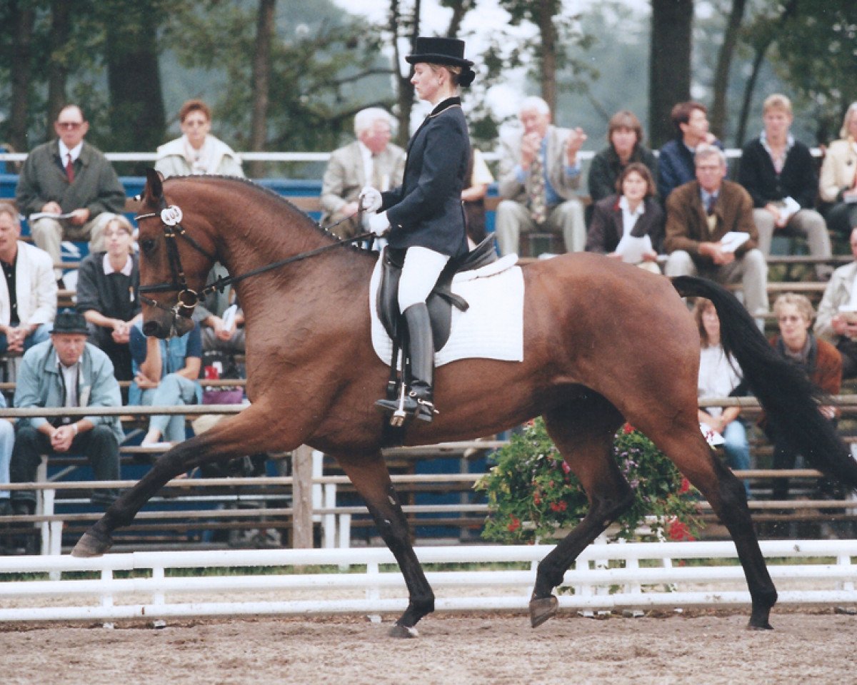 broodmare Lancade II (Rhinelander, 1993, from Lancer II)