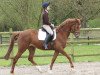 dressage horse Lourenca (Trakehner, 2011, from Special Memories)