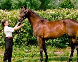 broodmare Ulanka X (Trakehner, 1998, from Assistent)