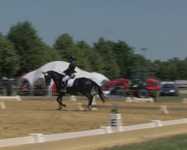 Reitturnier Vorsfelde 2019