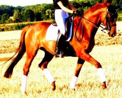 dressage horse Heart of Heaven (Trakehner, 1999, from Donauwalzer)