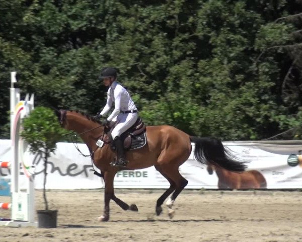 Reitturnier Remscheid 2019