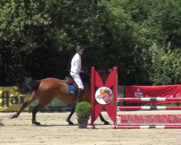 Reitturnier Remscheid 2019