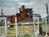 jumper Curtis 49 (Hessian Warmblood, 2005, from Cheenook)