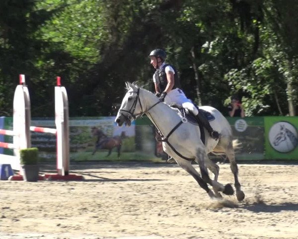 Reitturnier Remscheid 2019