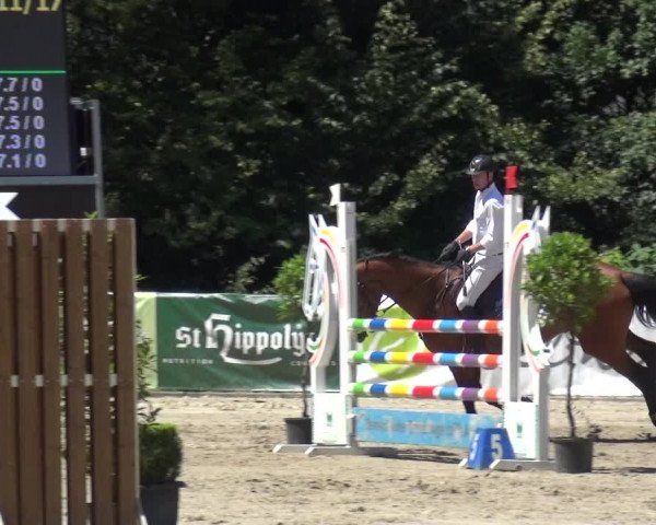 Reitturnier Remscheid 2019