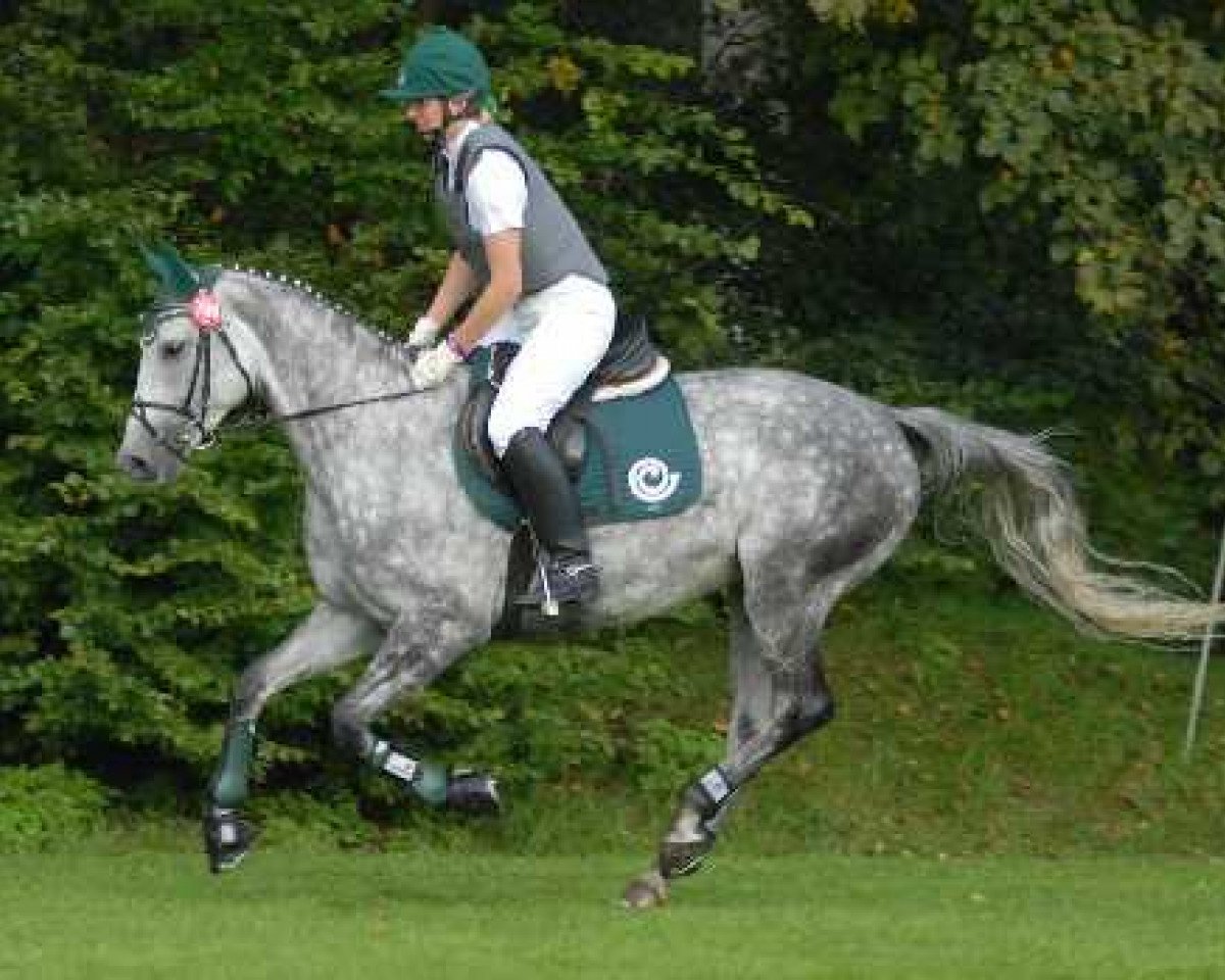 Zuchtstute Raisa II (Trakehner, 2002, von Guzzi)