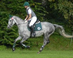 broodmare Raisa II (Trakehner, 2002, from Guzzi)